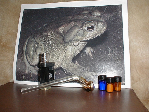 5-MeO-DMT, DMT, and toad venom