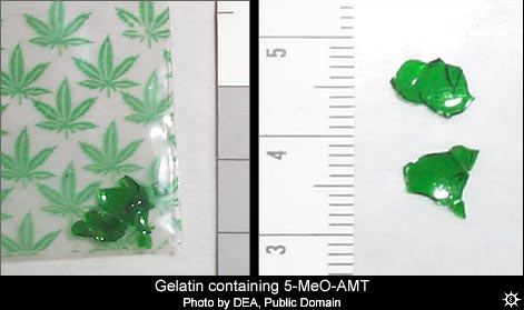 gelatin 5-MeO-AMT
