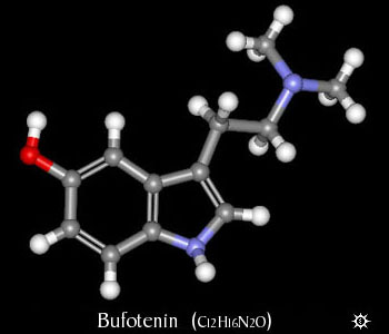 Bufotenin Molecule