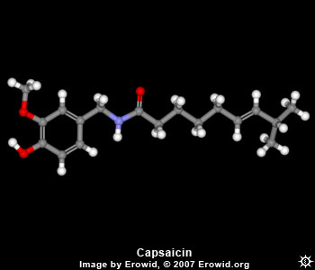 Capsaicin Molecule
