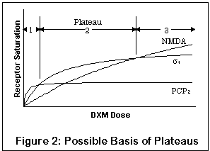 Dxm Chart