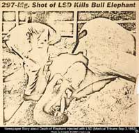 Newspaper Picture of Dead Elephant