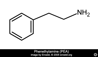 phenethylamine_2d