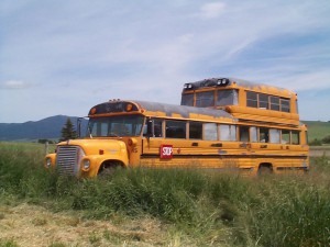 Has anybody seen this bus?