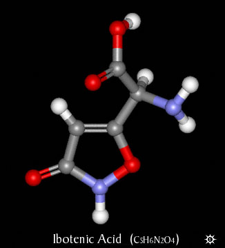 Ibotenic Acid Molecule