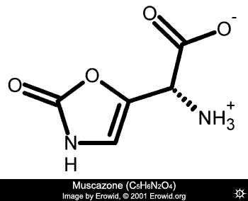 Muscazone Acid Molecule