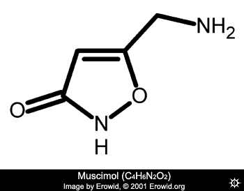 Muscimol Molecule