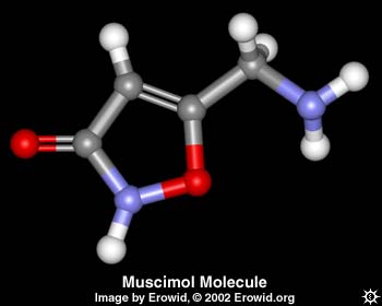 Muscimol Molecule