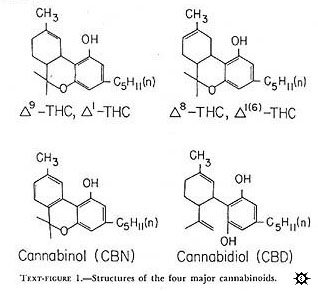 cannabinoid structures