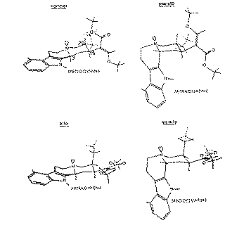 Full size image: 19 kB, FIGURE 2 Preferred conformations of corynantheidine-type alkaloids