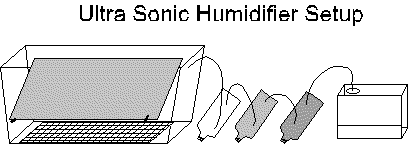 Picture of ultra-sonic setup