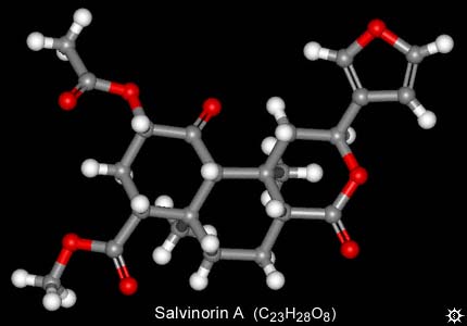 Salvinorin A Molecule