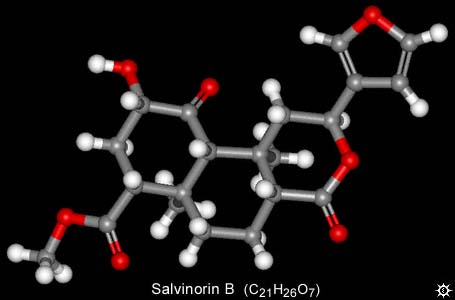 Salvinorin B Molecule