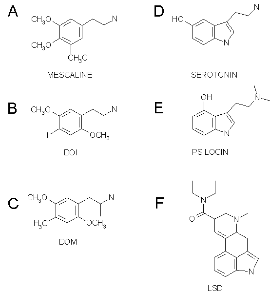 Structure of some common hallucinogens